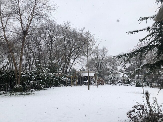 backyard during winter - 1700 N Windsor Dr