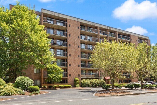 Building Photo - 289 Elm St