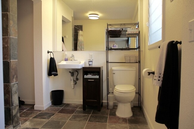Building Photo - Very clean and spacious Studio with lots o...