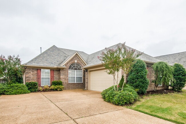 Building Photo - 938 Classic Cove