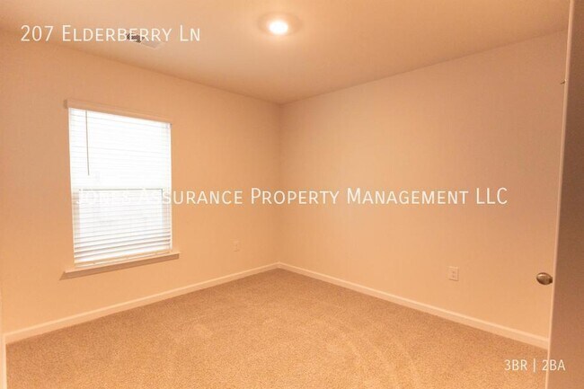 Building Photo - 207 Elderberry Ln