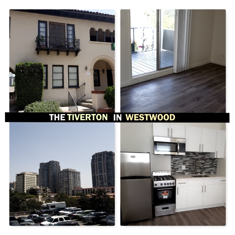 Primary Photo - 1016 Tiverton Ave