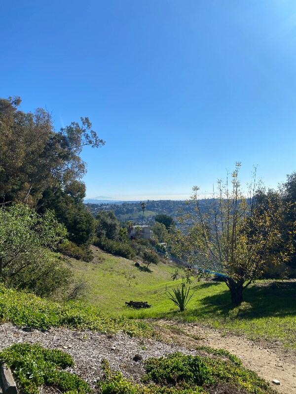 Building Photo - 640 Rome Dr