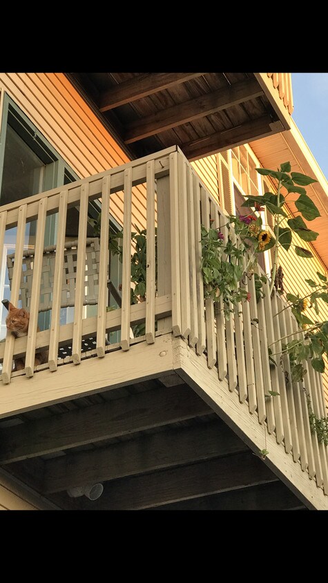 Deck with Purdue campus views from downtown! - 104 S 3rd St