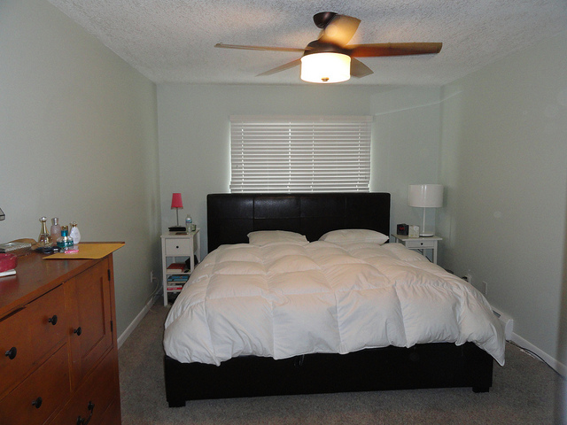 Large bedroom (Q bed) and 2 large closets - Lyn Lake