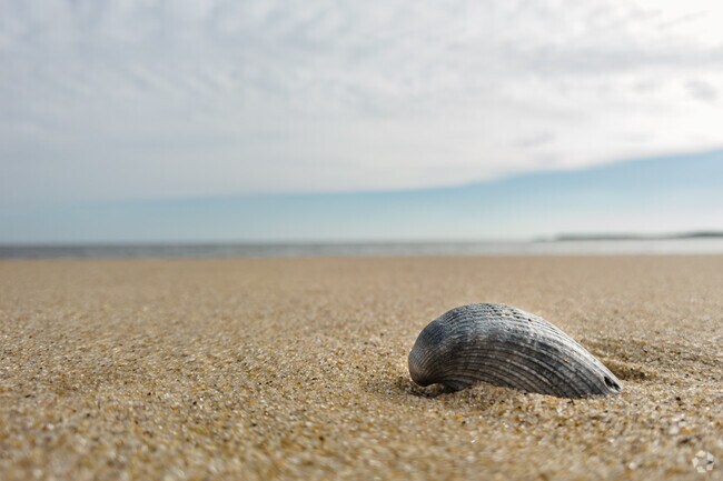 Beaches in Lusby provide a scenic place to relax and enjoy nature.