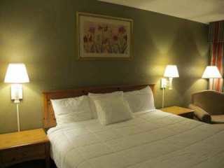 One King BEd Room - 500 N Riverside Ave
