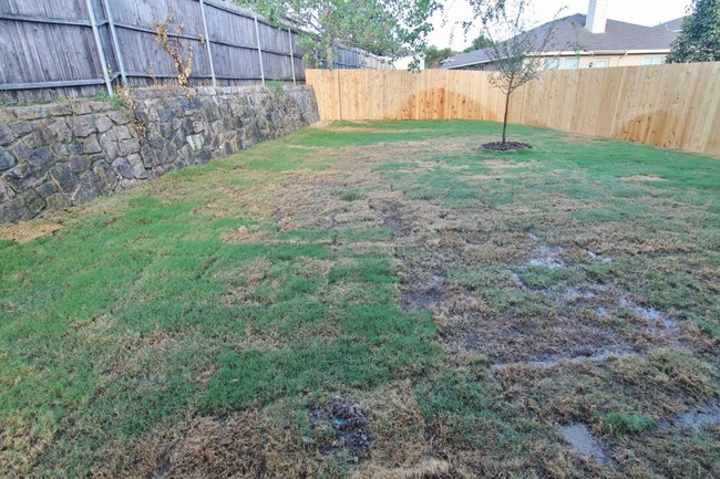 Building Photo - 6841 Rondo Dr
