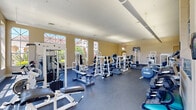 This fitness center offers a comprehensive workout environment housed within a single-floor space designed to accommodate a wide variety of exercise needs. The facility is characterized by high ceilings and large, multi-pane windows lining the perimeter walls, allowing abundant natural light to fill the room while providing views of the surrounding greenery. The walls are finished in warm neutral and sage green tones, contributing to an energizing yet comfortable atmosphere.

The strength training area is extensively equipped, featuring multiple cable machines, lat pulldown stations, leg press equipment, and a broad selection of weight benches paired with barbell racks loaded with plates. A well-stocked dumbbell rack provides a full range of free weights. A floor-to-ceiling mirror runs along one wall, enhancing the sense of space and allowing users to monitor their form during workouts.

The cardio section includes treadmills, elliptical trainers, and stationary bikes positioned to take advantage of the natural light from the surrounding windows. Mounted flat-screen televisions are positioned throughout the space for entertainment. The flooring throughout is durable rubber, providing safety and comfort underfoot. The open layout ensures ample circulation space between equipment stations, making the facility functional for multiple users simultaneously.