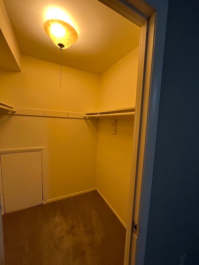 Walk-In Closet - 3304 Woodburn Village Dr