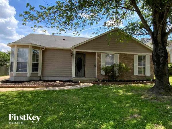 Building Photo - 4261 Kings Valley Cove E