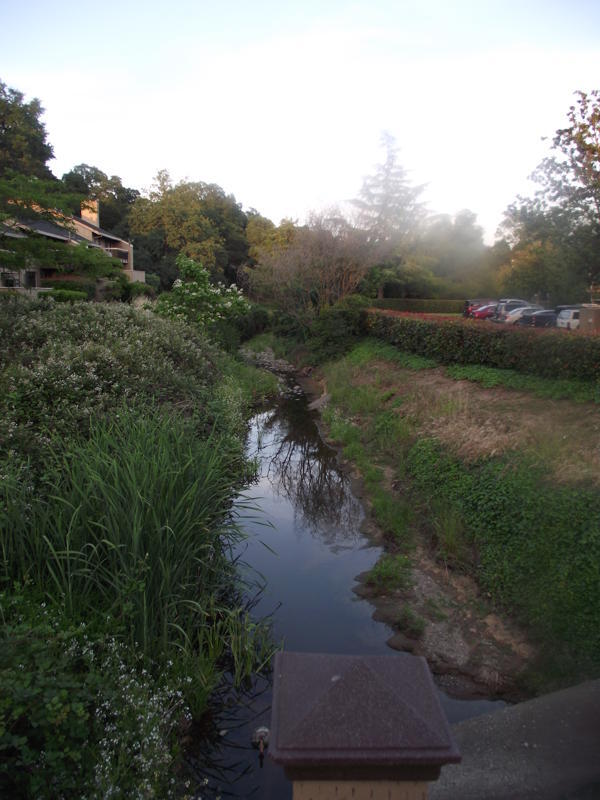 Hermosos terrenos con un arroyo. - 9200 Madison Ave