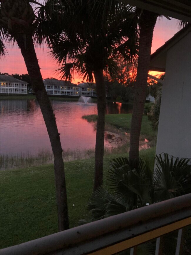 Foto del edificio - 216 Cypress Point Dr