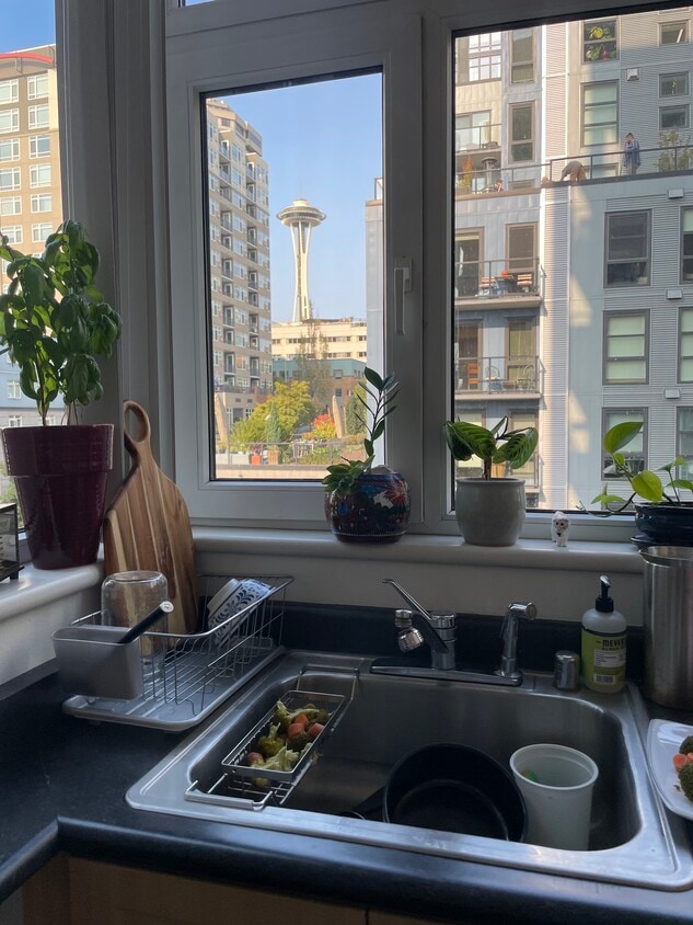 Watch the New Years Space Needle fireworks from your kitchen - 2717 Western Ave