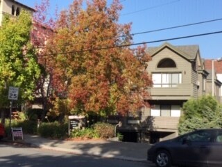 Primary Photo - 1508 Floribunda Ave
