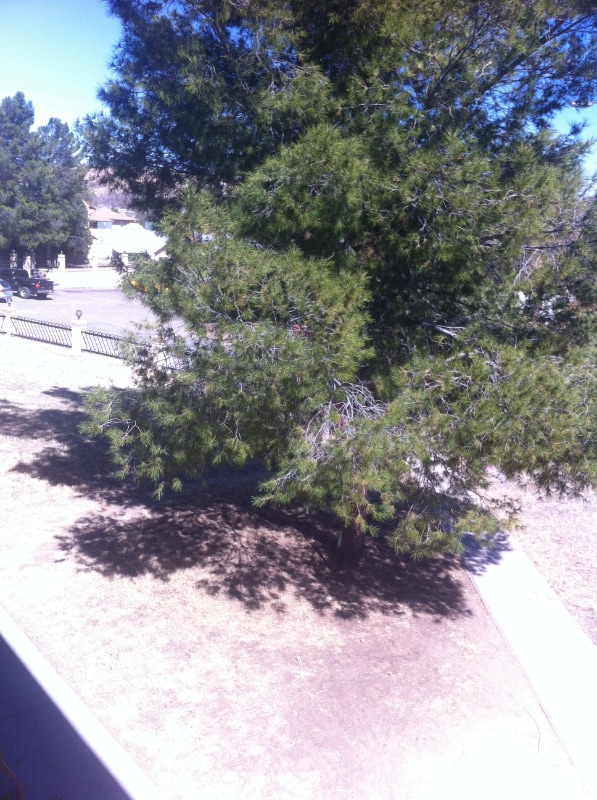 Foto del edificio - 793 W Mesa Verde Dr