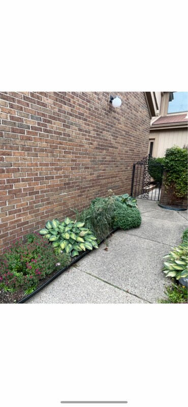 Primary Photo - 5347 Wright Way W