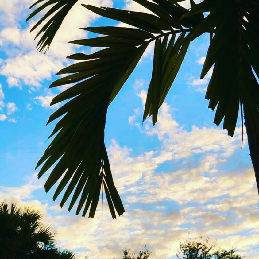 Foto principal - 6078 Dusenburg Rd