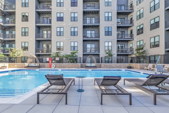 Interior Photo - Olive & Wooster