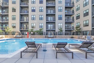 Interior Photo - Olive & Wooster