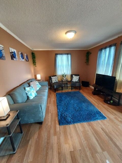 Living Room - 101 Virginia St