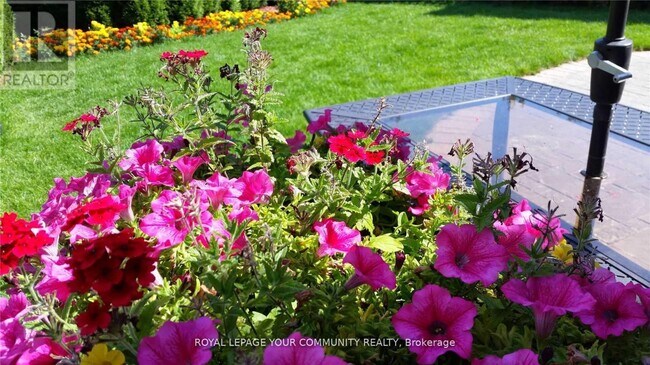 Building Photo - 61 Nightstar Dr