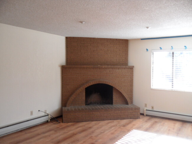 living room fireplace - 255 Hillcrest Dr