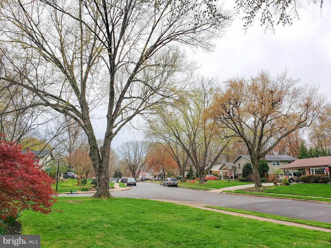 8163 Chancery Ct, Alexandria, VA 22308 House Rental in Alexandria, VA
