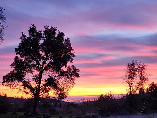 Building Photo - 2 Bedroom, 2 Bathroom unit available for l...