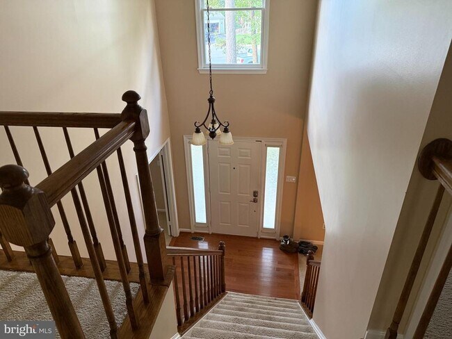 Foto del edificio - 3869 Appaloosa Dr