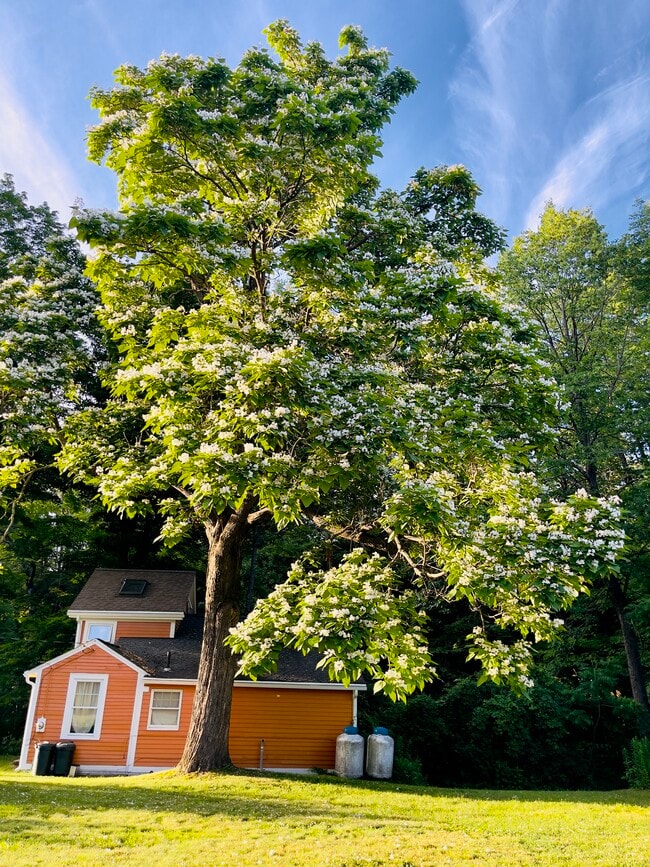 Photo - 256 Shelburne Falls Rd House
