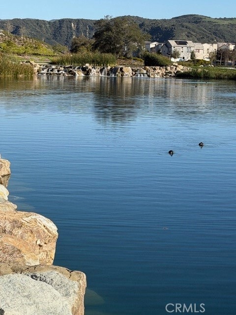 Building Photo - 41 Little Owl Ct