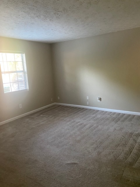 Living Room - 2257 Salt Springs Pl