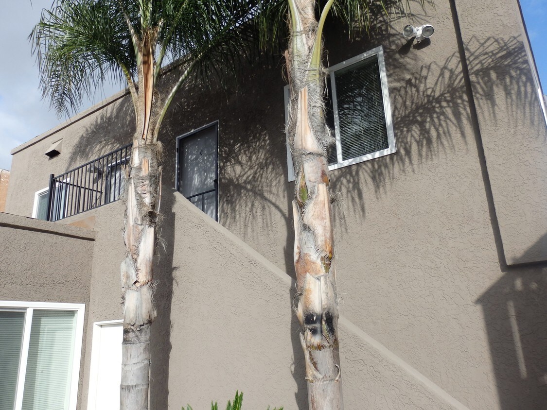 Foto principal - 1100 Cherry Ave