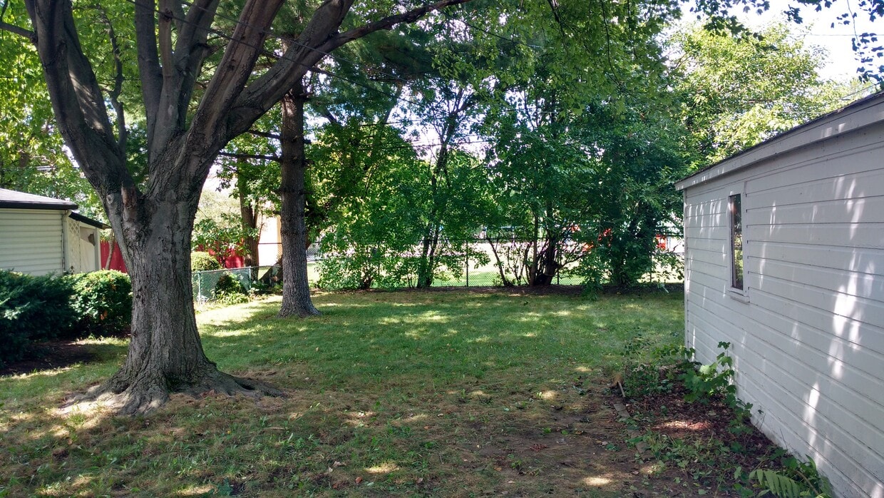 Backyard - 615 E Bloomfield Ave