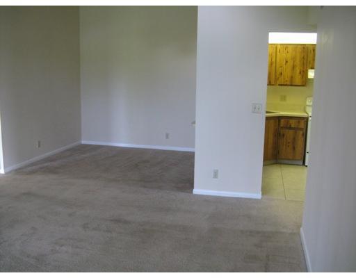 Foto del edificio - 703 Sunny Pine Way