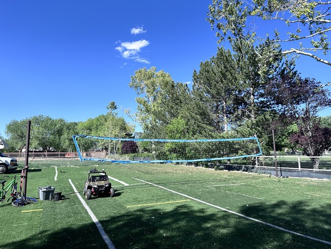 Full size volleyball court - 588 Applewood Rd