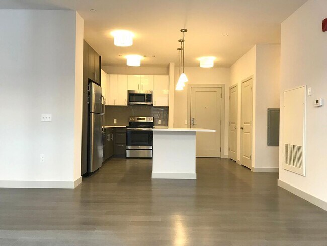 Kitchen and living - 99 tremont street