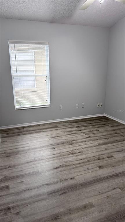 Foto del edificio - 1804 Palmetto Pine Ln