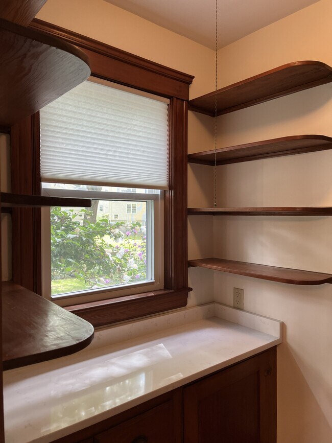 Pantry Shelves - 754 Massachusetts Ave