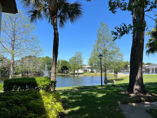 Foto del edificio - 51 Windtree Ln