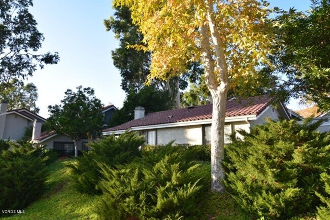 Building Photo - 1058 Sunwood Ct