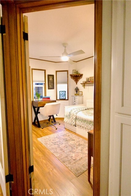 Foto del edificio - 832 Community Dr