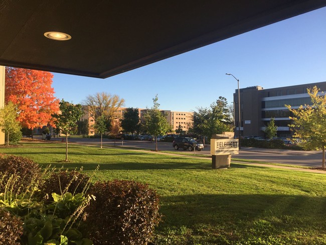 View of campus from Element - Element Apartments