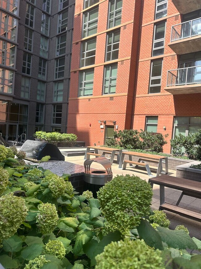 Foto del edificio - 1 Bedroom 1 Bath Condo Near Capitol Hill