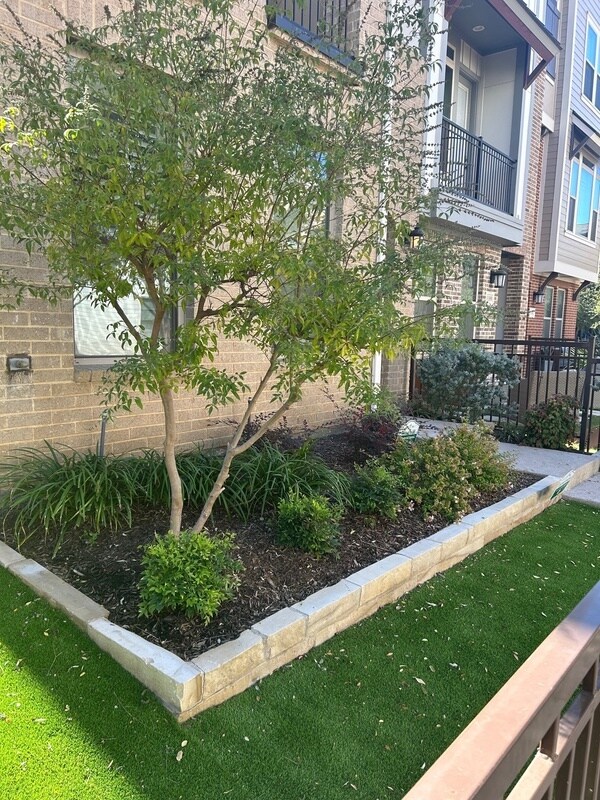 Foto del edificio - 1181 Tea Olive Ln