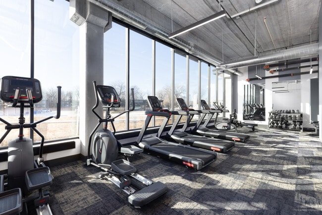 Fitness Studio - Lynvue