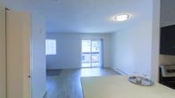 This single-floor space is designed with an open-concept layout that promotes a sense of spaciousness and easy flow between areas. The living area features light-toned hardwood-style flooring that runs throughout, contributing to a clean and cohesive aesthetic. A textured ceiling adds subtle visual interest overhead, while a flush-mount ceiling fixture provides ambient lighting.

Natural light is a defining characteristic of this space, streaming in through multiple windows and a set of sliding glass doors that open onto an outdoor balcony. The balcony access not only enhances the sense of openness but also provides views of surrounding greenery, creating a connection to the outdoors. A baseboard heater runs along the exterior wall beneath the windows, indicating a practical heating solution integrated into the design.

The walls are finished in a neutral white, offering a versatile backdrop that adapts well to a variety of furnishing styles. A countertop or table surface is partially visible in the foreground, suggesting a defined dining or kitchen area adjacent to the main living space. Overall, the space presents a functional, light-filled environment with a straightforward, comfortable layout.