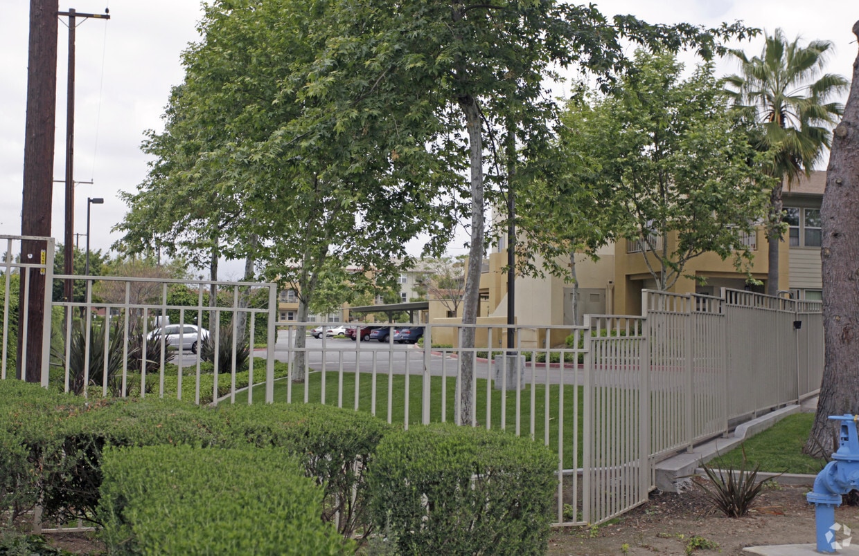 Building Photo - Palm Terrace II