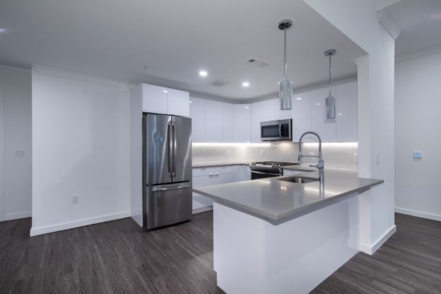 Quartz Counters/Stainless - Fairfield Metro at Mineola